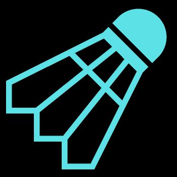 VOLANTS DE BADMINTON