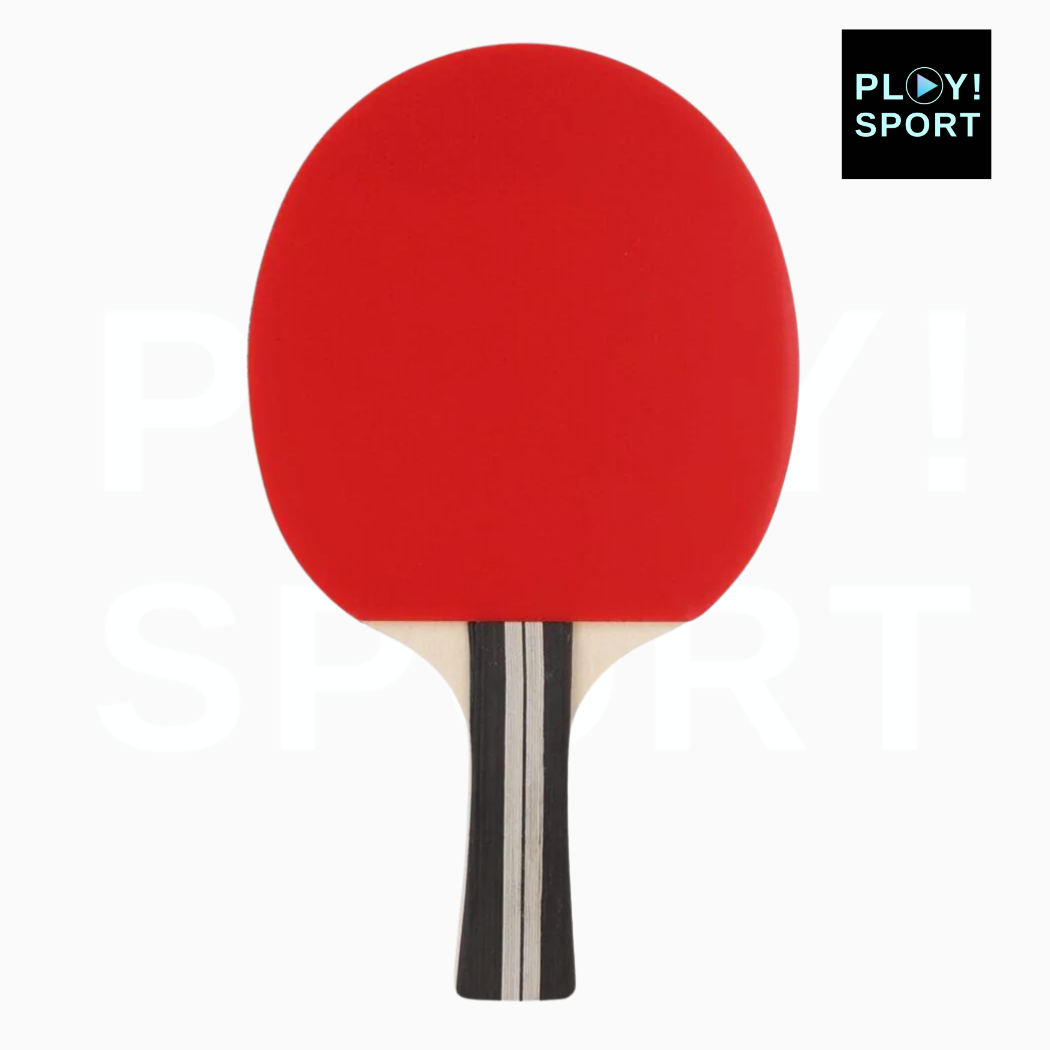 SET FZ TENNIS DE TABLE 1-STAR INCL NET PING PONG