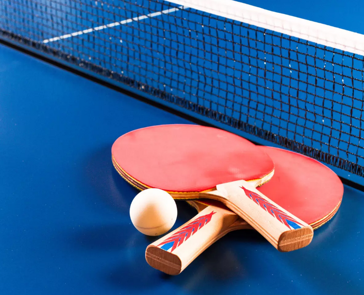 ARTICLES DE PING PONG/TENNIS DE TABLE