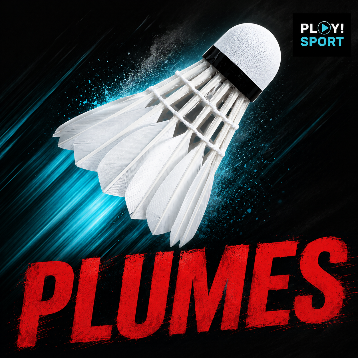 VOLANTS PLUMES