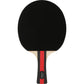 RAQUETTE TENNIS DE TABLE FZ AMAZE TT 4-STAR Ping Pong